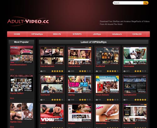 Adult Video Sites